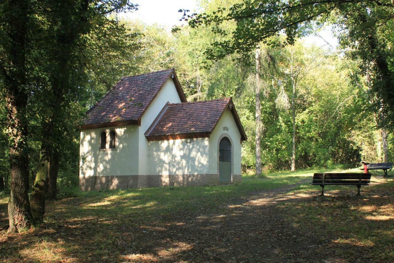Villa Bonheur Illfurth Alsace 4 Chambres Exteriör bild